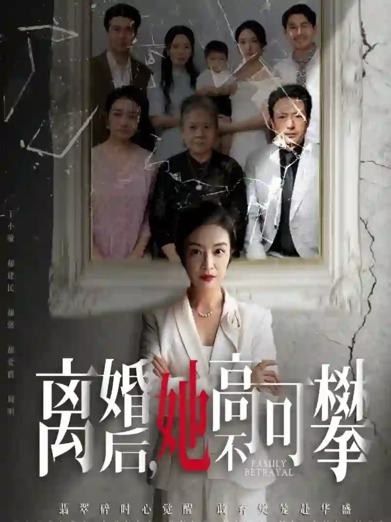 离婚后她高不可攀（至亲之人伤我最深）